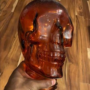 Glass Skelton for man cave